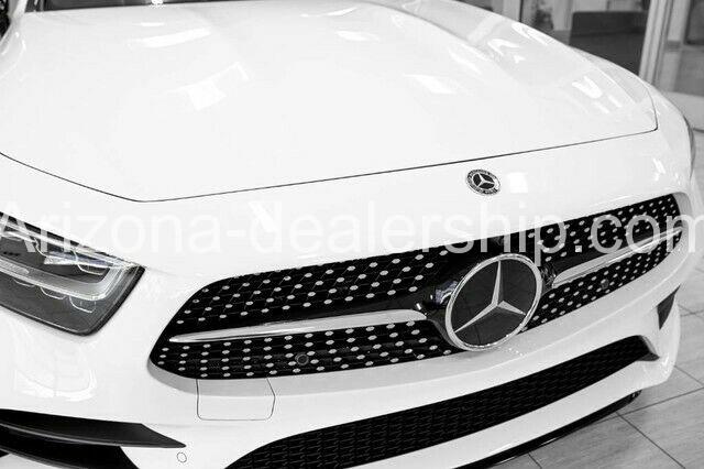 2020 Mercedes-Benz CLS-Class CLS 450 full