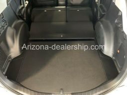 2017 Toyota RAV4 Platinum full