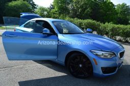 2018 BMW 2-Series AWD XDRIVE SPORT-EDITION(TURBO) full