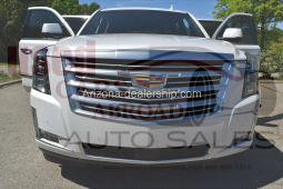 2017 Cadillac Escalade 4X4 PLATINUM-EDITION(EVERY SINGLE OPTION) full