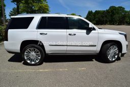 2017 Cadillac Escalade 4X4 PLATINUM-EDITION(EVERY SINGLE OPTION) full