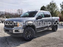 2020 Other Makes F-150 Roush full