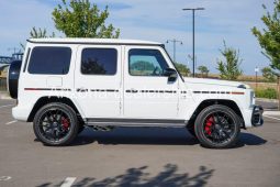 2019 Mercedes-Benz G-Class G63 AMG full