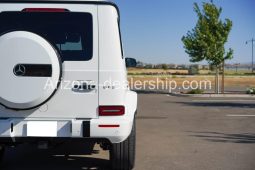 2019 Mercedes-Benz G-Class G63 AMG full