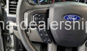 2019 Ford F-150 XLT full