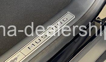 2021 Ford Mustang Mach-E Premium AWD full