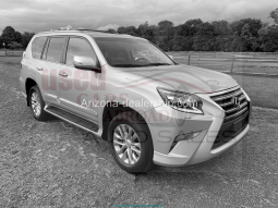 2018 Lexus GX GX 460 Premium full