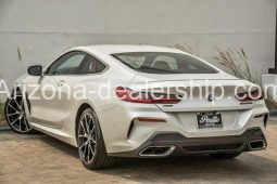 2019 BMW 8-Series M850i xDrive full