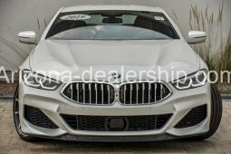 2019 BMW 8-Series M850i xDrive full