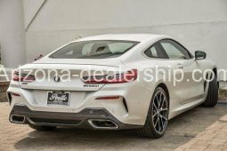 2019 BMW 8-Series M850i xDrive full