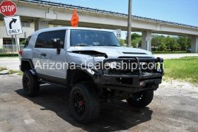 2013 Toyota FJ Cruiser