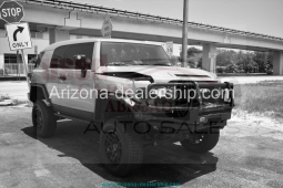 2013 Toyota FJ Cruiser full