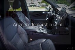 2019 Mercedes-Benz GLS GLS 450 full