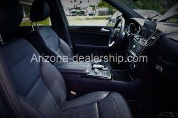 2019 Mercedes-Benz GLS GLS 450 full