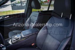 2019 Mercedes-Benz GLS GLS 450 full