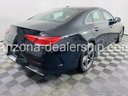 2019 Mercedes-Benz CLS CLS 450 full