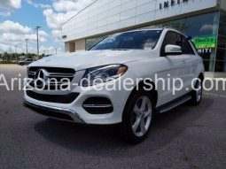 2017 Mercedes-Benz GLE AMG GLE43 full