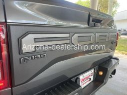 2019 Ford F-150 Raptor full