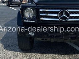 2013 Mercedes-Benz G-Class G 550 full