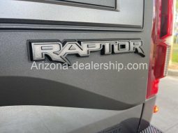 2019 Ford F-150 Raptor full