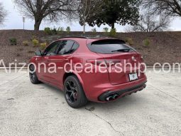 2019 Alfa Romeo Stelvio Quadrifoglio full