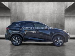 2020 Lexus NX 300 full