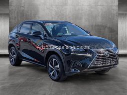 2020 Lexus NX 300 full