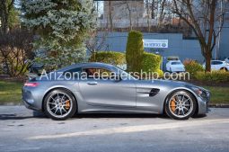 2019 Mercedes-Benz AMG GT R full