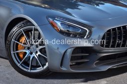 2019 Mercedes-Benz AMG GT R full