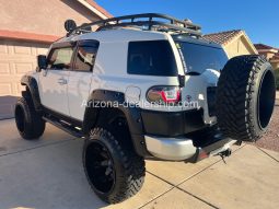 2010 Toyota FJ Cruiser full