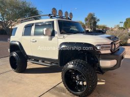 2010 Toyota FJ Cruiser full