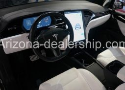 2019 Tesla Model X PERFORMANCE full