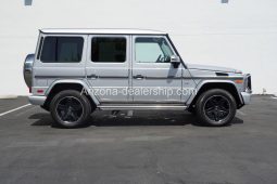 2017 Mercedes Benz G-Class G 550 full