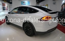 2019 Tesla Model X PERFORMANCE full