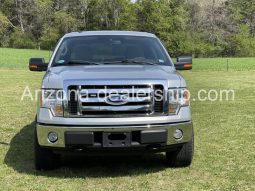 2010 Ford F-150 full