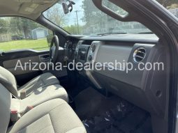 2010 Ford F-150 full