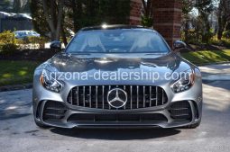 2019 Mercedes-Benz AMG GT R full