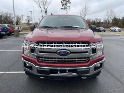 2019 Ford F-150 XLT full