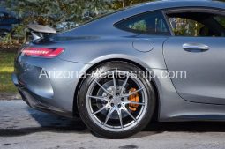 2019 Mercedes-Benz AMG GT R full