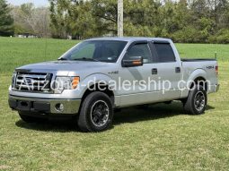 2010 Ford F-150 full