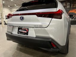 2020 Lexus UX UX 250h full