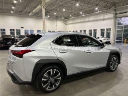 2020 Lexus UX UX 250h full