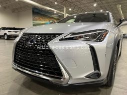 2020 Lexus UX UX 250h full