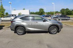 2019 Lexus NX NX 300 full