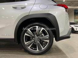 2020 Lexus UX UX 250h full