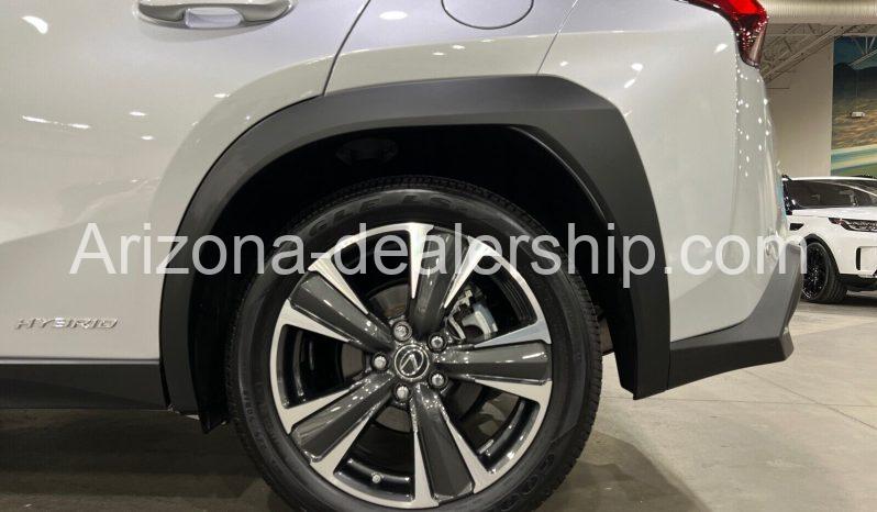 2020 Lexus UX UX 250h full