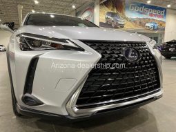 2020 Lexus UX UX 250h full