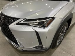 2020 Lexus UX UX 250h full