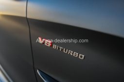 2021 Mercedes-Benz AMG GT Black Series full