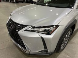 2020 Lexus UX UX 250h full